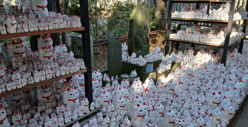 豪徳寺の招き猫